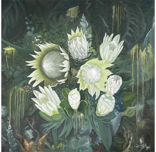 Pure Proteas 1