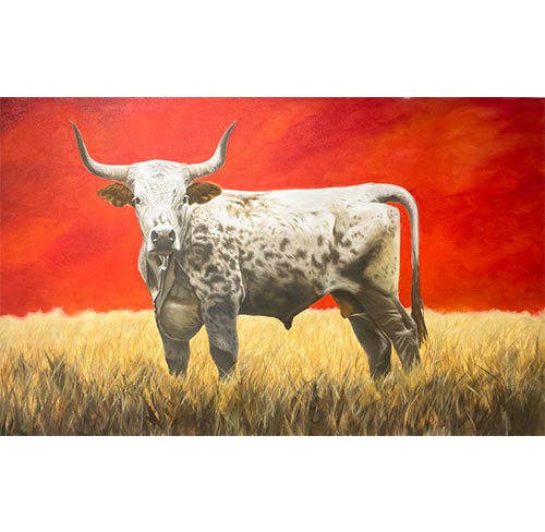 cow img